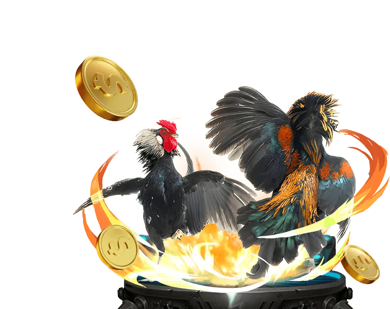 Tổng quan về đấu trường đá gà kwin68